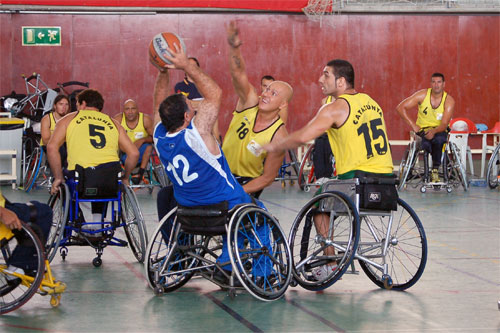 basquet