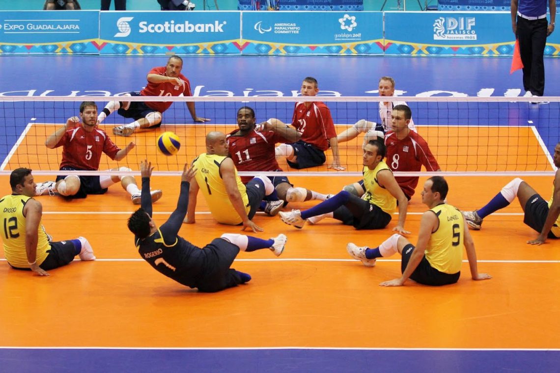 voleibol terra